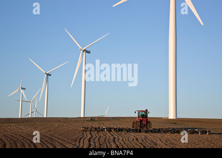 Le tracteur tirant harrow, champ de blé, wind farm Banque D'Images