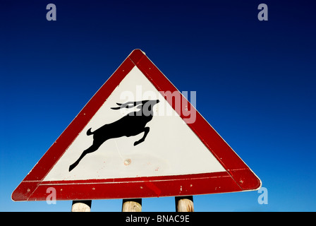 Panneau d'avertissement de la route de l'antilope, le sud-ouest de Cape, Afrique du Sud Banque D'Images