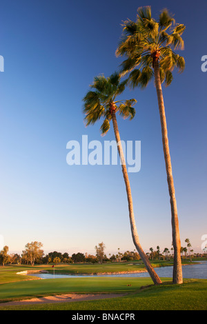 McCormick Ranch Golf Course, Scottsdale, Arizona. Banque D'Images