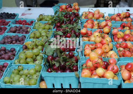 Petits fruits et de cerise à la vente dans le Battery Park City Greenmarket dans Manhattan. Banque D'Images