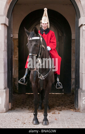 Membre de la Household Cavalry, sauveteurs, Horse Guards, Londres, Royaume-Uni Banque D'Images