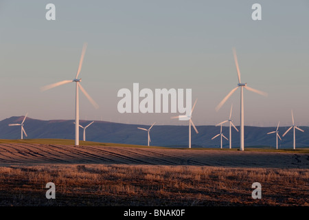 Wind farm, champ en jachère. Banque D'Images