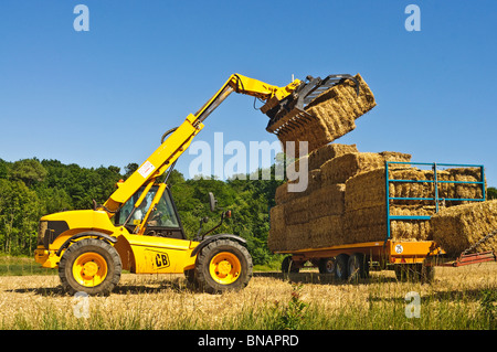 JCB 531-70 Agri télescopique agricole - France. Banque D'Images