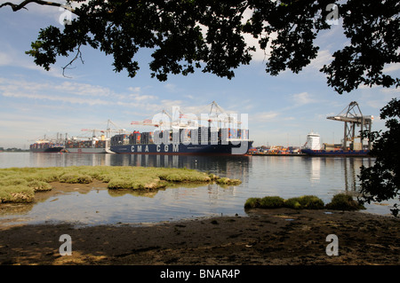 DP World ABP Southampton England UK un grand port à conteneurs du sud de l'Angleterre Banque D'Images