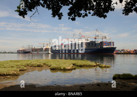 Navires sur le quai de DP World ABP Southampton England UK un grand port dans le sud de l'Angleterre Banque D'Images