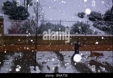 Hiver homme promenait son chien dans la neige, la neige tombe, les flocons de neige Banque D'Images