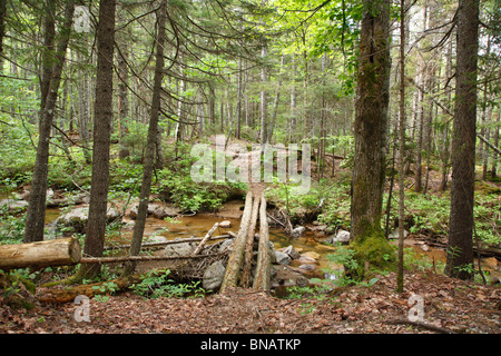 Pemigewasset Wilderness - pont pied le long sentier de l'étang de Nancy qui traverse l'encoche Brook dans Lincoln, New Hampshire, USA. Banque D'Images