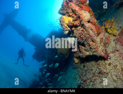 Plongée sous-marine sur épave. Banque D'Images