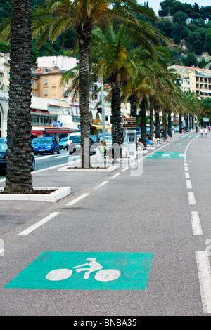 Piste cyclable marquée sur une rue de ville. vertical shot Banque D'Images