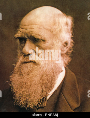 Naturaliste anglais CHARLES DARWIN - (1809-82) Banque D'Images