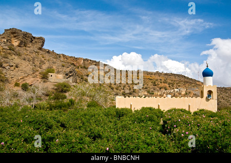 Mosquée Al Jabal el Akhdar région Dakhiliyah Sultanat d'Oman' Banque D'Images