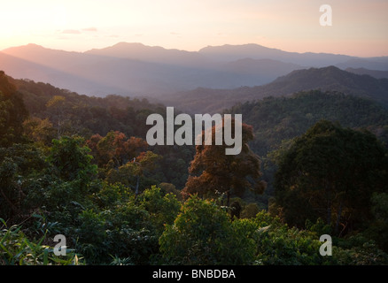 Collines couvertes de forêt tropicale dans le parc national de Kaeng Krachan, Thaïlande Banque D'Images