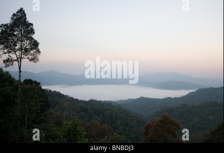 Vue sur la mer de brouillard de Panoen Thung camp dans le parc national de Kaeng Krachan, Thaïlande Banque D'Images