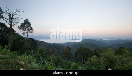 Vue sur la mer de brouillard de Panoen Thung camp dans le parc national de Kaeng Krachan, Thaïlande Banque D'Images