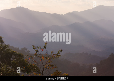 Collines couvertes de forêt tropicale dans le parc national de Kaeng Krachan, Thaïlande Banque D'Images