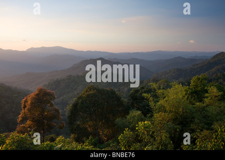 Collines couvertes de forêt tropicale dans le parc national de Kaeng Krachan, Thaïlande Banque D'Images