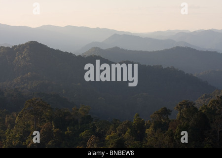 Collines couvertes de forêt tropicale dans le parc national de Kaeng Krachan, Thaïlande Banque D'Images