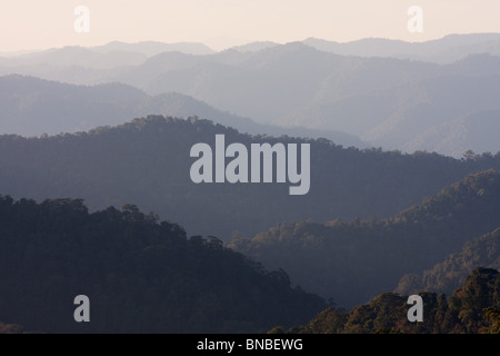 Collines couvertes de forêt tropicale dans le parc national de Kaeng Krachan, Thaïlande Banque D'Images