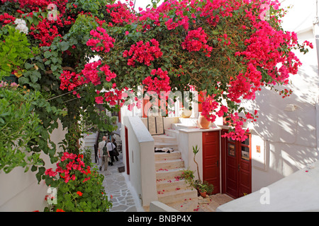 Ruelle dans la vieille ville de la ville de Naxos, l'île de Naxos, Cyclades, Mer Égée, Grèce Banque D'Images