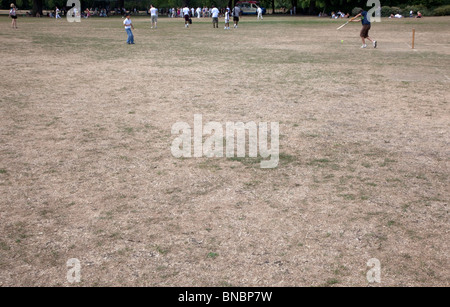 L'herbe desséchée dans London park après une longue période de sécheresse en été 2010 Banque D'Images