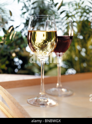 Deux verres à vin rouge et blanc Banque D'Images