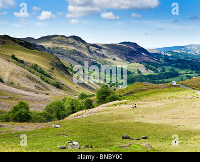 Eskdale Valley à la recherche de Hardknott Pass, le Lake District, Cumbria, Angleterre, Royaume-Uni Banque D'Images