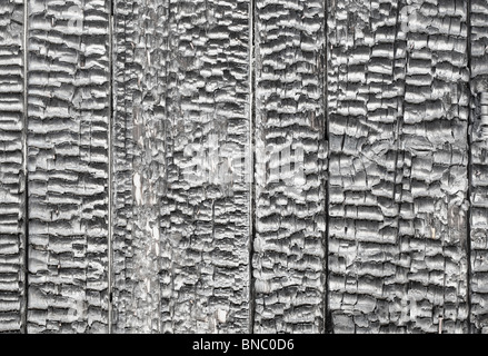 Charred surface du mur en bois - contexte Banque D'Images