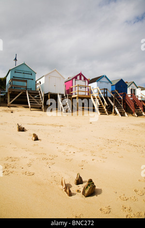 Cabines de plage à Felixstowe sur la côte du Suffolk, Angleterre. Banque D'Images