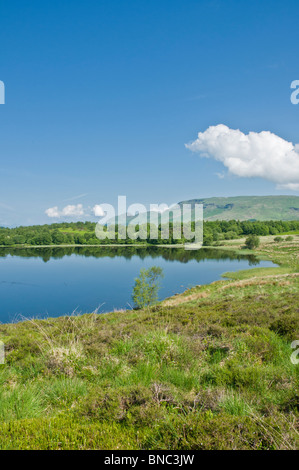 Ardinning le loch et les collines de Campsie nr Blanefield District Stirling en Écosse Banque D'Images