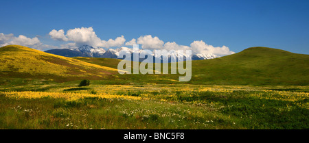 National Bison Range Montana Banque D'Images