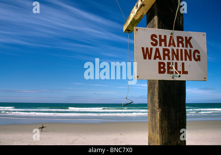 Dunedin Nouvelle-zélande Plage St Clair Avertissement Requin Bell Banque D'Images