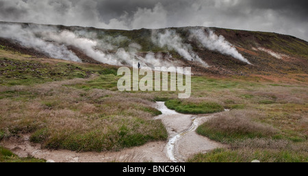 La vapeur géothermique hot springs, Côte Sud, Islande Banque D'Images