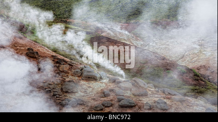 La vapeur géothermique hot springs, Côte Sud, Islande Banque D'Images