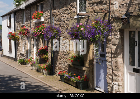 Rangée de cottages pittoresques mitoyennes avec paniers suspendus à l'extérieur à Hay-on-Wye Powys Pays de Galles UK Banque D'Images