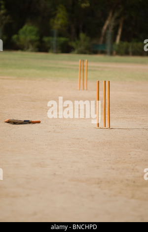 Les souches de cricket et une chauve-souris dans une aire de jeux, New Delhi, Inde