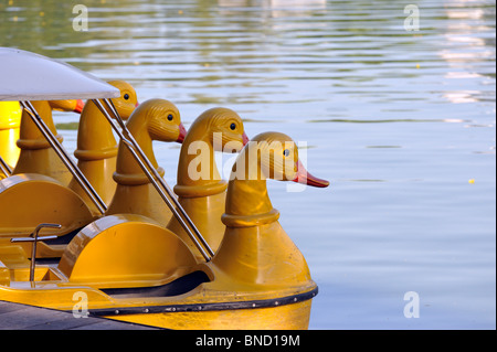 Des bateaux avec des cols de cygne alignés sur le lac dans le parc Lumpini, Bangkok Banque D'Images