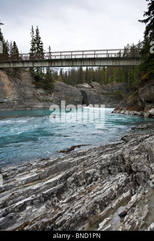 Tourist pont sur la rivière Kicking Horse Yoho National Park (Canada) Banque D'Images