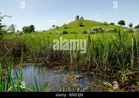 Repère important de Burrow mump dans Somerset sur une journée ensoleillée avec un fossé de drainage à l'avant-plan. Banque D'Images