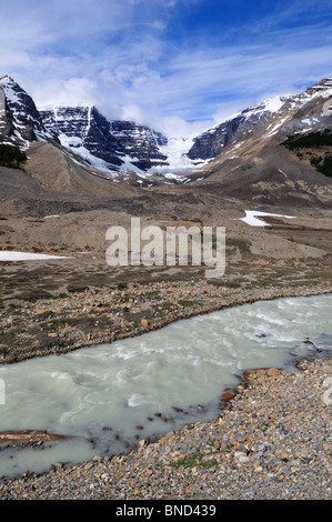 Et le long de cours d'eau de glacier Columbia Icefield Parkway. Le Parc National Jasper, Alberta, Canada. Banque D'Images