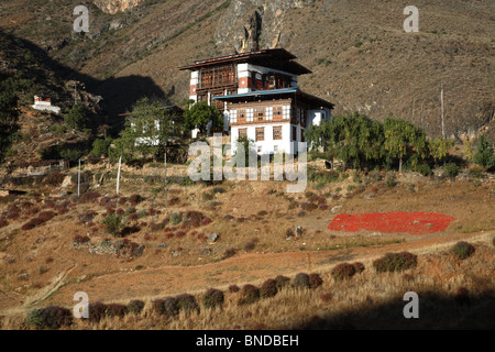 Une maison d'habitation sur le flanc d'une colline avec un grand morceau de piment rouge à sécher au soleil près de Paro, Bhoutan. Banque D'Images