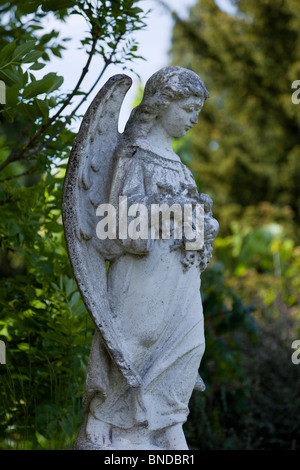 Stone angel dans cimetière Banque D'Images