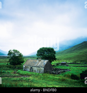 Bergerie abandonnée avec deux arbres, Connemara, comté de Galway, République d'Irlande, Europe Banque D'Images