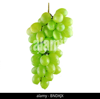Grappe humide isolé sur fond blanc Banque D'Images
