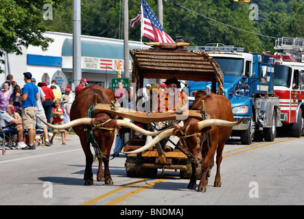 Homme habillé comme Fred Flintstone conduire boeufs dans plus ancienne Indépendance Day Parade en Amérique à New Pekin, Indiana Banque D'Images