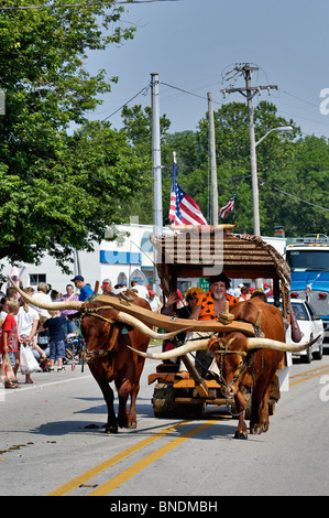 Homme habillé comme Fred Flintstone conduire boeufs dans plus ancienne Indépendance Day Parade en Amérique à New Pekin, Indiana Banque D'Images