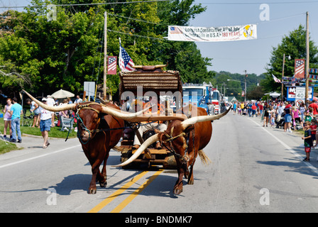 Homme habillé comme Fred Flintstone conduire boeufs dans plus ancienne Indépendance Day Parade en Amérique à Pekin, Indiana Banque D'Images