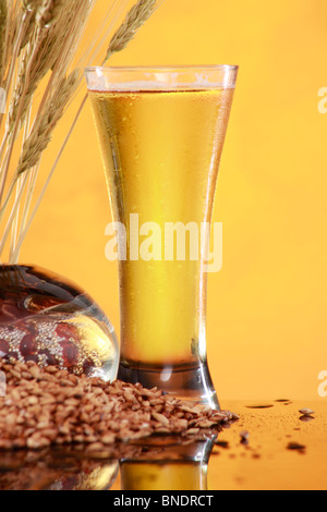 Grande bière bien fraîche avec des grains de blé et d'orge Banque D'Images