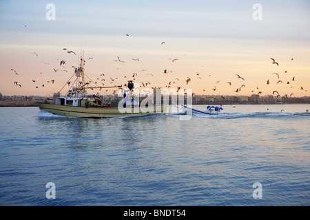 Bateau de pêche professionnelle et mouette tourner port arrière sur le coucher du soleil lever du soleil Banque D'Images