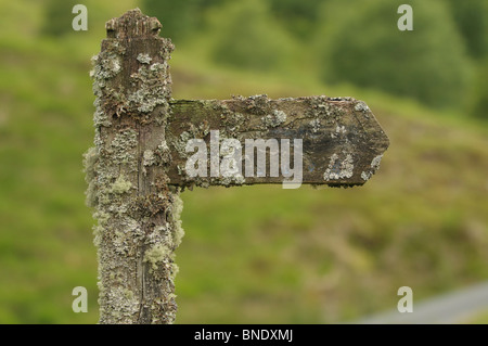 Sentier de bois couverte de mousse dans le col Abergwesyn signpost, Powys, Mid Wales UK Banque D'Images