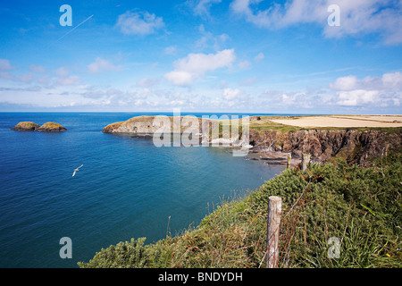 Vue du Pembrokeshire Coastal Path, entre St Davids et Solva,West Wales Banque D'Images